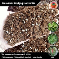 Peat Moss Organic Planting Material Pack Of 5 Liters Weight 1.7 KG.