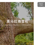 ()Cedarwood Raw Material wood Indian Essential Oil  Cedar Imported Self-operated Himalaya HimalayanA