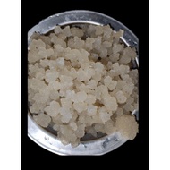 water kefir grains 20g/30g probiotics gut health