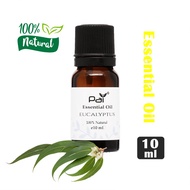 KAYU PUTIH Eucalyptus Pati Aroma Oil | Pai Essential Oil (Eucalyptus) 10ml