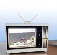 Aquarium TV Antik, Model 1 PXLXT 30x15x20