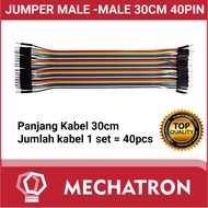 Cable jumper male to male mm m-m dupont 30 cm 30cm 40 pin