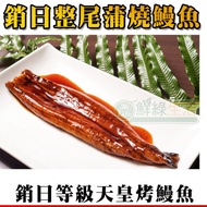 頂級直輸日本蒲燒烤鰻魚200g