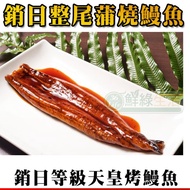 頂級直輸日本蒲燒烤鰻魚200g