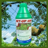 [ORIGINAL] 1L SET-UP 480 GLYPHOSATE 41% RACUN RUMPUT LALANG/RACUN RUMPAI SERUPA ROUNDUP/HERBICIDE/IM
