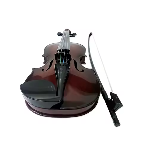Simulated Violin Music Practice Violin for Beginners Violin Kit Musical Instrument Exquisite Workman