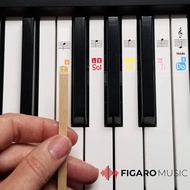 Piano Stickers - Do-Re-Mi Music for All White Keys (49/61/76/88 Key Keyboards) – Transparent and Rem