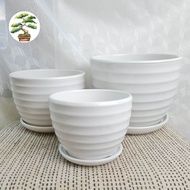 90s Greenovation Pot White Classic Clay Pot with horizontal stripes 花盆陶瓷简约带托盘多肉花盆
