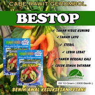 COD Benih Cabai Rawit Gerombol Bestop 10gr 2000 Biji Berkualitas Tahan Viirus