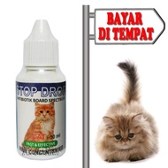 Diare Flu Cat Medicine Colds Anti Virus Antibiotic Stop Drop