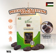 PREMIUM RANUNA MEDJOOL DATES JUMBO PALESTINE MEDJOOL DATES/