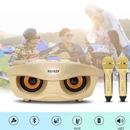 SD306 Karaoke Set Dual Microphone Blutooth Wireless Speaker Family Karaoke Wireless Bluetooth Speaker Microphone For Singing