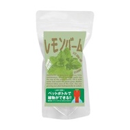 Green Toys - DIY水耕種子套裝 檸檬葉 日本製造