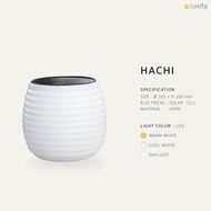 Hachi Solar Lighting