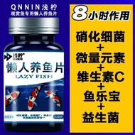 Lazy Fish Tank Fish Fillet Water Purification Digestion Fish Lazy Fish Tank Fish Tablets Water Purif