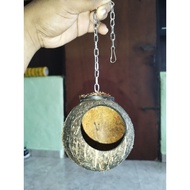 sarang sugar glider dan hamster 10CM (+-)