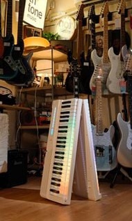 Terence Livesing C2💕 自學彈唱🎶88鍵亮燈琴鍵 智能摺疊琴