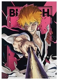 BANDAI - BLEACH 死神 Stirring Souls vol.2 一番賞 H賞 透明海報 膠墊- 黑崎一護[平行進口]
