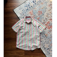 L4c0sst3e Stripes Multi Color Shirt