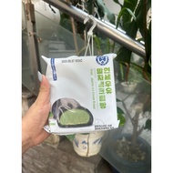Korean Hot hit Yonsei Cake