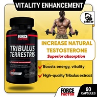 Force Factor, Tribulus Terrestris, Increase natural Testosterone, Male Enhancement & Vitality, Natur