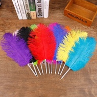 Ostrich Feather Pen Ballpoint Pen Wedding Party Exquisite Gift Gift Pen European Retro Feather Pen O