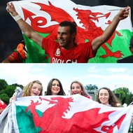 Large Wales Flag - Flag