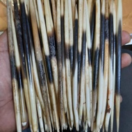 bulu landak asli 100%