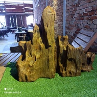 Cengal Mas Solid Wood Slab For Indoor & Outdoor Home Decor Garden Or Fish Aquarium