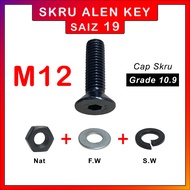 M12 Hexagon Socket Head CSK Allen Key Screw