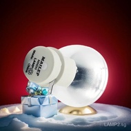 Bare Lamp 5811116635-SU Projector Bulb for VIVITEK D791ST, D792STPB, D795WT with P-VIP 230W/0.8 E20.