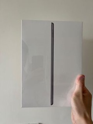 Ipad 256GB Wifi版
