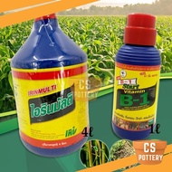 THAILAND MULTI EXTRA VITAMIN B1 1 LITER / 4 LITER AMINO ACID PENGGALAK AKAR B1