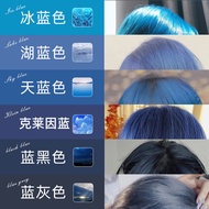 2025 Popular Color Blue Black Plant Ice Blue Gray Klein Blue Home/4.3