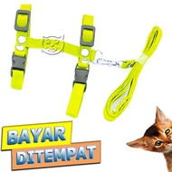 Cat Harness H Ferret Oter Dog Puppy Animal Harness Lead