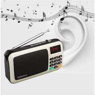 Rolton W405 Portable FM Radio