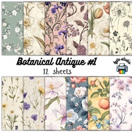12 Sheets 8x8 Botanical Antique Prints Print by byte studio | Premium Paper Craft Journal Stationery