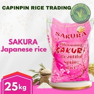 Sakura Japanese Rice 25  Kg