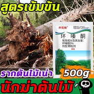 รากไม้เน่า500g ยาฆ่าต้นไม้ใหญ สร้างมาเพื่อฤดูฝน ยาฆ่าตอต้นไม้ แค่โรยเพียงเล็กน้อย กำจัดวัชพืชเปิดที่รกราง ต้นไม้ใหญ่ไม้ไผ่ ยากำจัดต้น