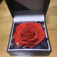 美女與野獸 玫瑰花 保鮮花