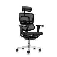 Ergohuman Ultra Ergonomic Chair / Office Chair