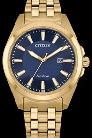 Citizen Eco-Drive Stainless Steel Watch ,星辰 光動能 不鏽鋼手錶 Gold Steel BM7633-81X / Black Dial BM7637-81H