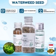 YEE Aquarium Plant Seed, Waterseed, Plant For Fish Tank, Easy To Plant With NoCO2, High Germination 