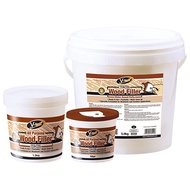 (0.5KG) V-TECH VT-462 Wood Filler