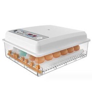 110V孵化機 36枚雙電源可接12V自動控溫 全自動家用型小雞孵化器 小型孵蛋器 孵蛋機
