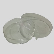 Lab Equipment - Petri dish
