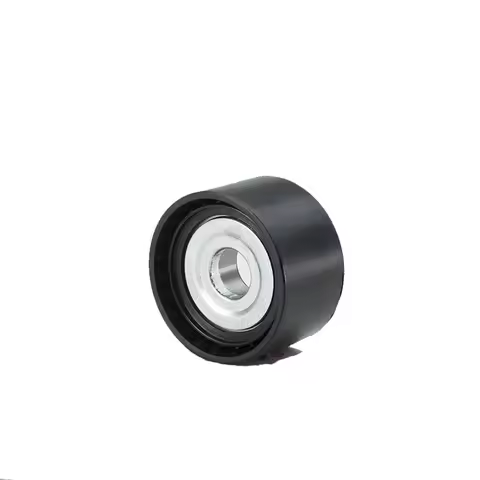 A1372020119 Car Accessories Belt Tensioner Pulley 1372020119 6422001070 for benz W220 W221W222 W203 