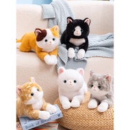 Cute Dududu Plush Toy Girl Hug Doll Real Small Genuine Cat Pillow Set Lying Cat Lying White Cat Doll