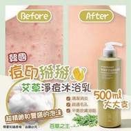 韓國痘印掰掰艾草淨痘沐浴乳