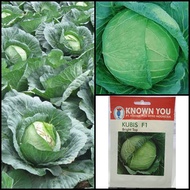 Isi paket 30 Biji Benih Kol Kubis TALENTA F1-Bibit Kol Kubis -SEEDSTORE